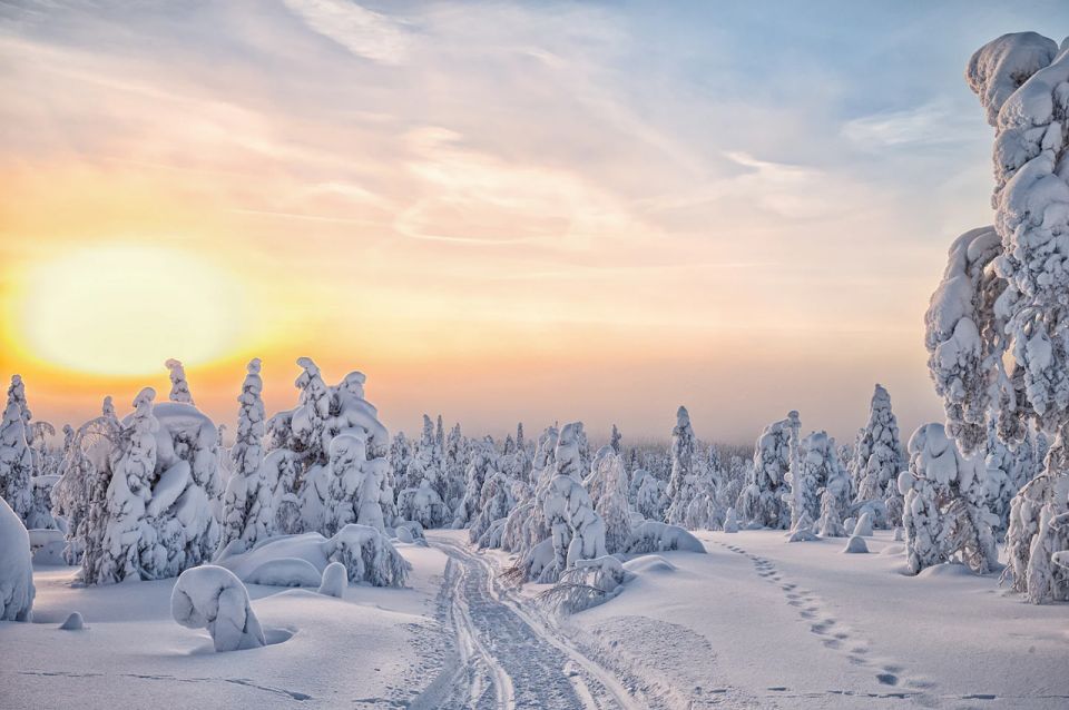 Lapland: The Frozen Waterfalls of Korouoma Tour - Specific Feedback