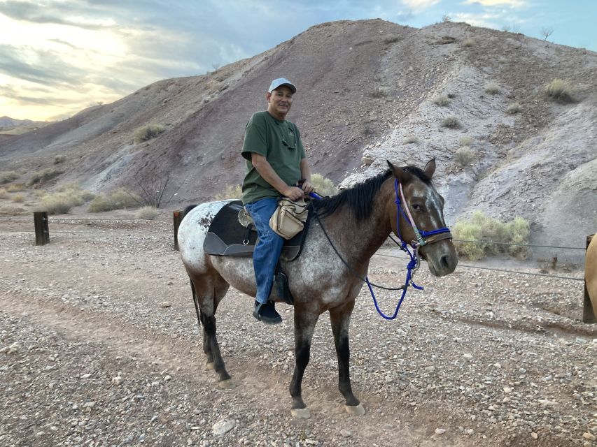 Las Vegas: Horseback Riding Tour - Customer Reviews