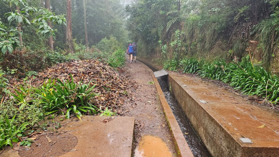 Levada Do Rei by Overland Madeira - Customer Experience