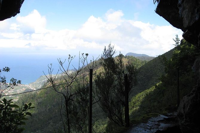 Levada Walk From Ribeiro Frio to Portela - Insightful Testimonials