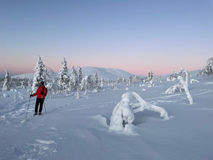 Levi: Pallas-Yllästunturi National Park Snowshoeing Tour - Common questions