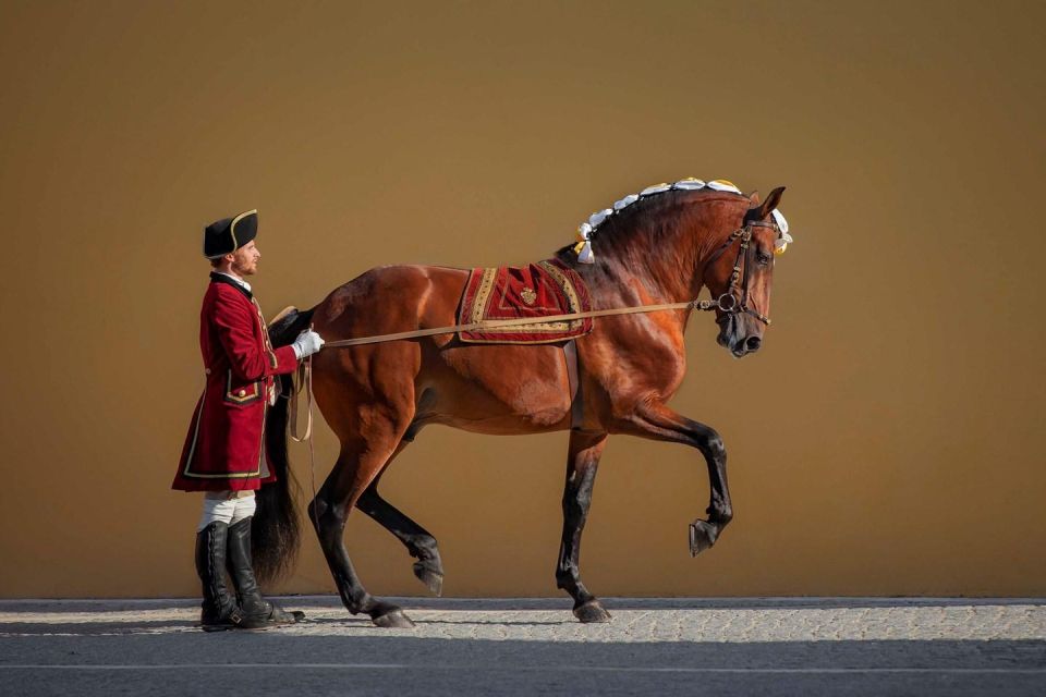 Lisbon: Morning of Equestrian Art With Lusitano Horses - Additional Details