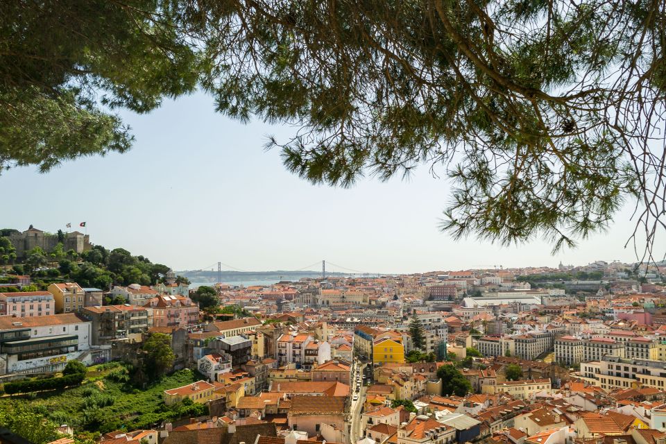 Lisbon: Walking Tour, Boat Cruise, Trams, and Elevators - Free Cancellation and Flexibility