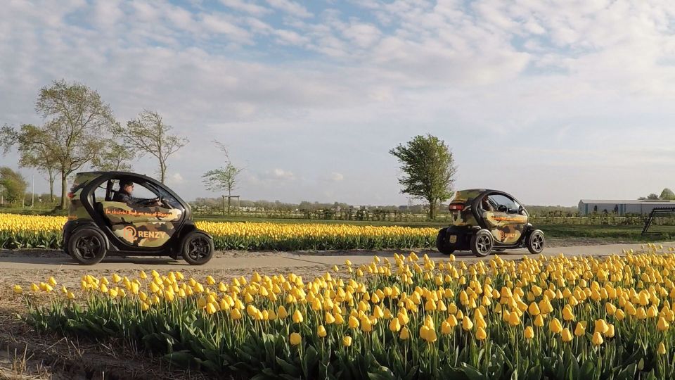 Lisse: Self-guided Tulip Fields GPS Audio Tour - Tour Transportation Services