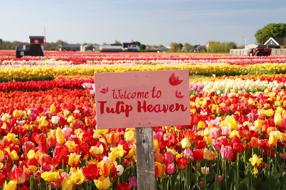 Lisse: Tulip Experience Ticket With Museum & Flower Picking - Review Summary