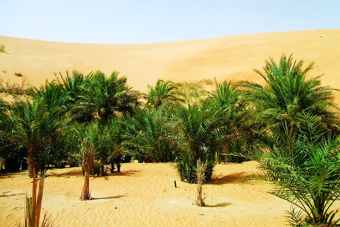 Liwa Rub Al Khali Desert Safari 2-Day With Stargazing  - Abu Dhabi - Tour Pricing