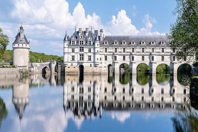 Loire Valley Castles Private Tour by Minivan From Paris - Customer Reviews and Testimonials