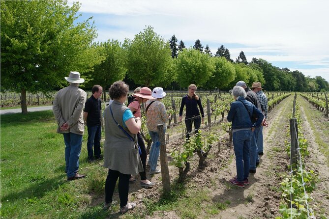 Loire Valley Wines Private Day Tour With Tastings From Tours or Amboise - Photo Gallery