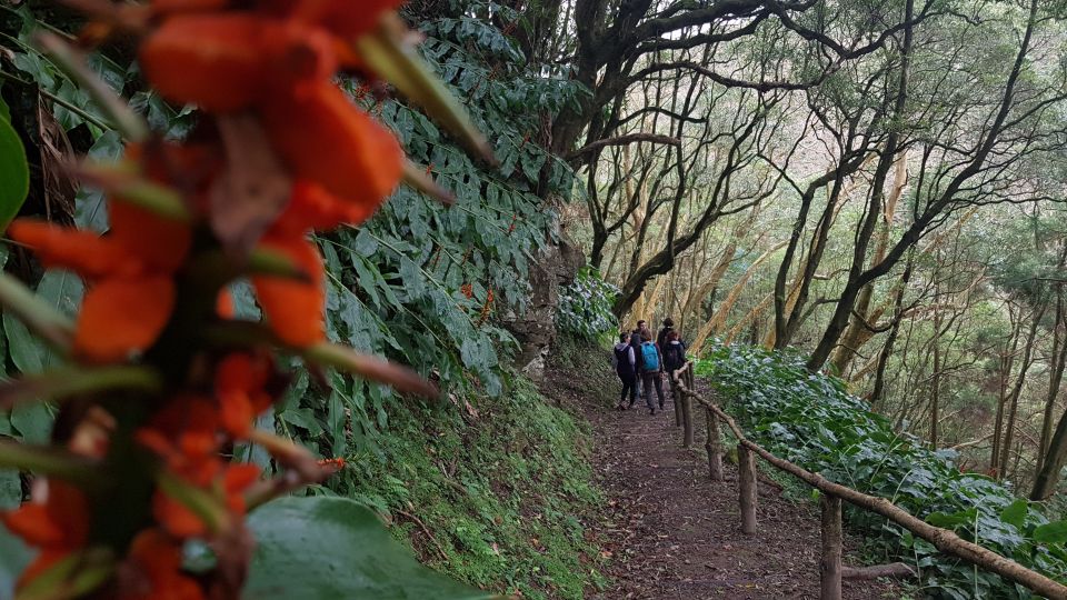 Lomba De São Pedro: Waterfall Hiking Tour With Tea Tasting - Review Summary
