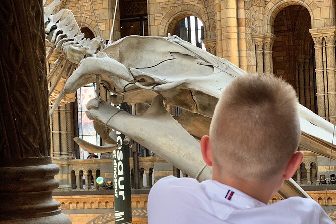 London Natural History Museum With Dinosaurs Gallery Private Tour for Kids - Common questions