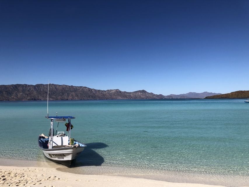 Loreto: Speedboat Tour With Swimming, Snorkeling and Picnic - Last Words