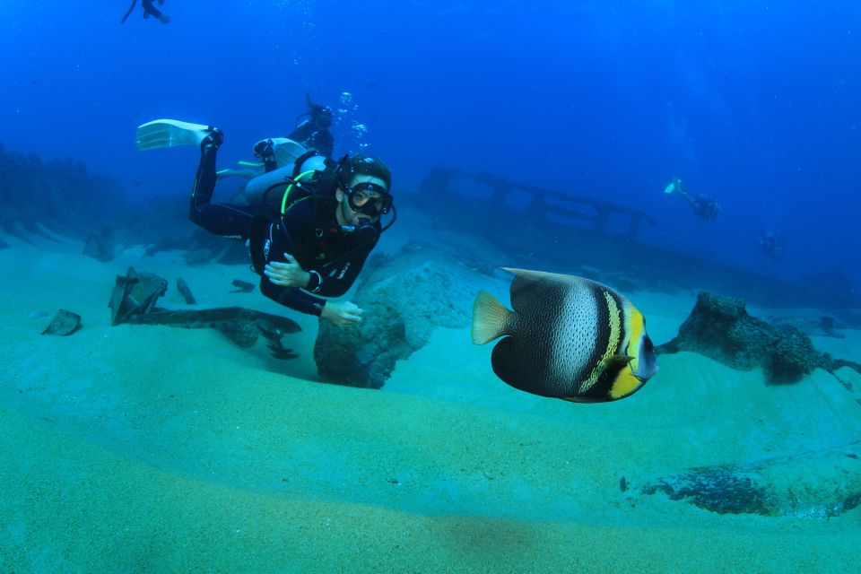 Los Cabos: 3-Hour Introductory Scuba Diving Adventure - Location Logistics and Pickup Service