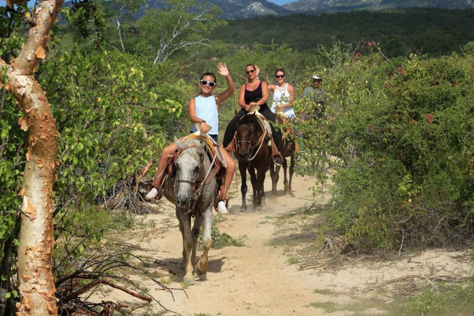 Los Cabos: The Great Fandango Horseback Riding Adventure - Directions for Horseback Riding