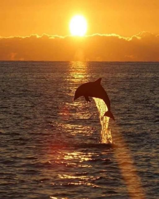 Lovina Sunrise and Dolphin With Swim and Snorkeling - Additional Information