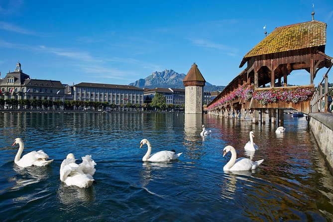 Lucerne Day Trip From Zurich Including Lake Lucerne Cruise - Scenic Delights Along the Journey