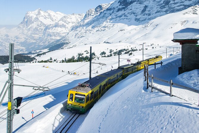 Lucerne: Full Day Excursion to To Interlaken and Grindelwald - Additional Information Provided