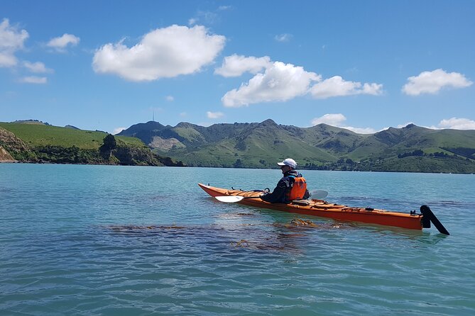 Lyttelton Shore Excursion - Sea Kayaking, Quail Island & Harbour - Common questions