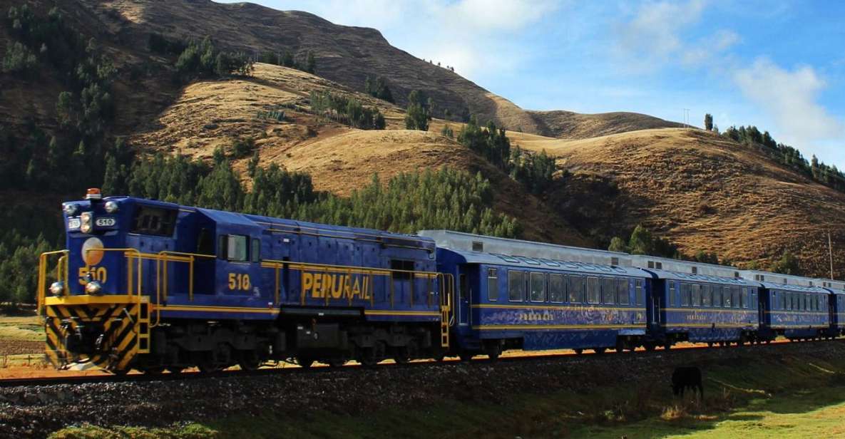 Machu Picchu: 1-Day Tour by Expedition or Voyager Train - Expedition Train Experience