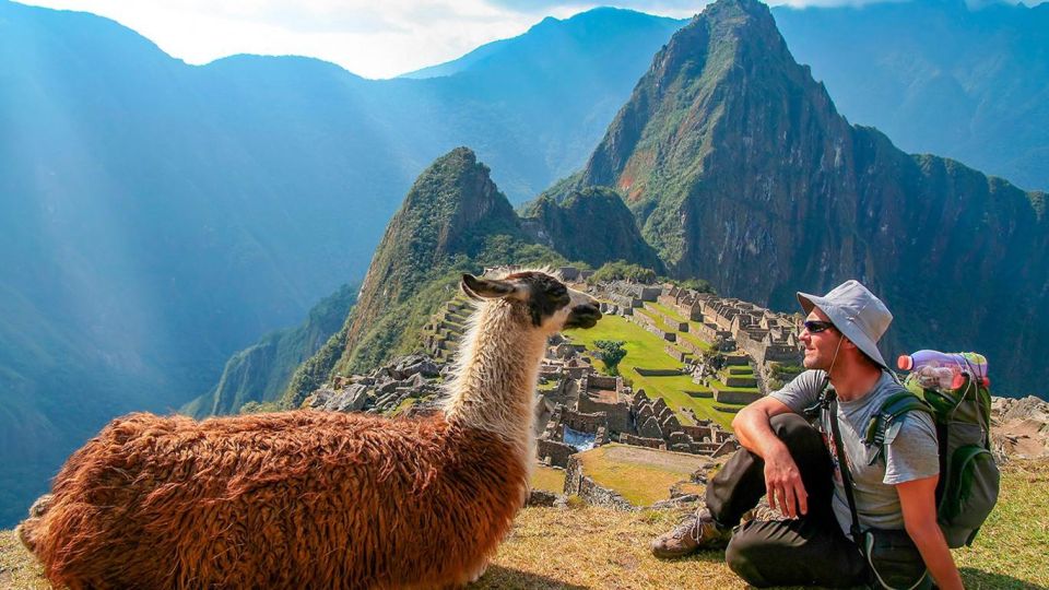 Machu Picchu: 1-Day Tour by Vistadome Observatory Train - Product Details