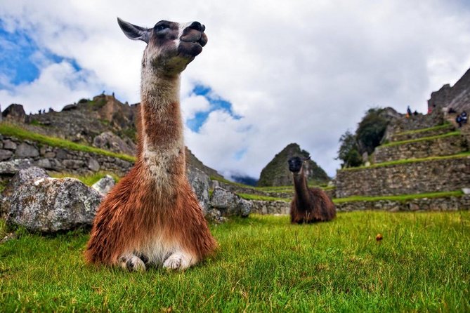 Machu Picchu By Train (2 Days) - Reviews and Ratings