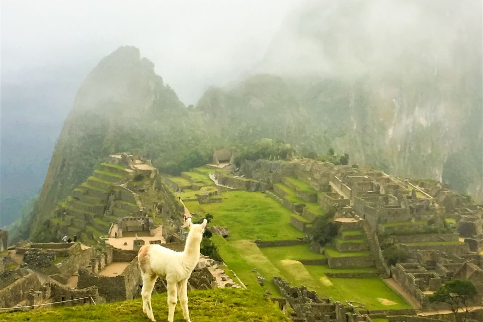 Machu Picchu: Short Inca Trail 2 Days With Panoramic Train - Transportation Information