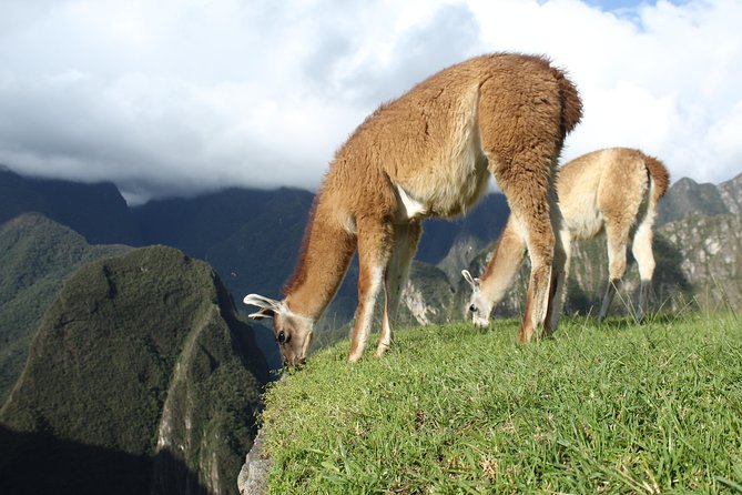 Machu Picchu Tour From Cusco Full Day - Itinerary Overview