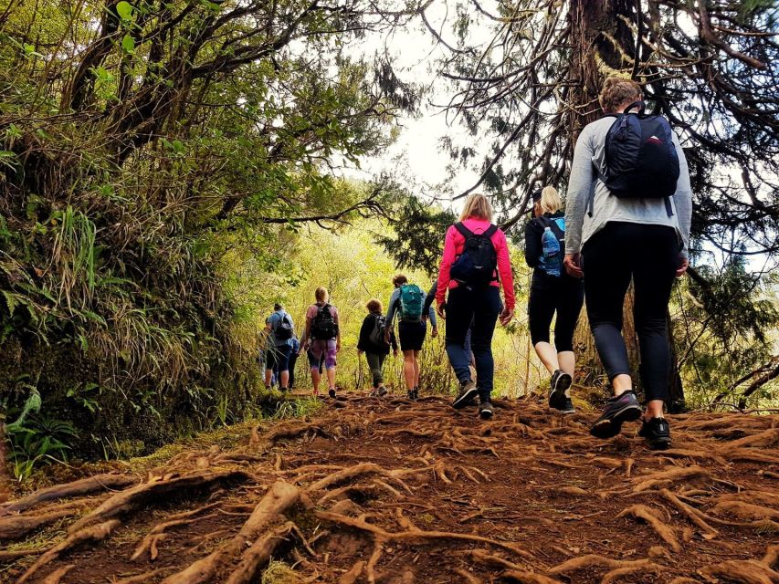 Madeira Island: Caldeirão Verde Levada Walk - Additional Details
