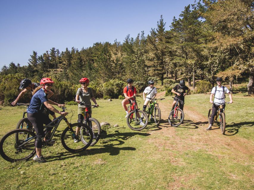 Madeira : Mountain Bike Trail Experience - Booking Information