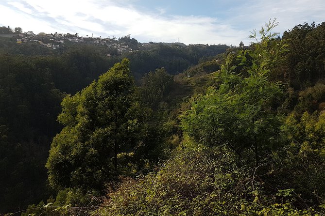 Madeira: Private Camacha Levada Do Tornos Walk - Refreshment and Rest Stops