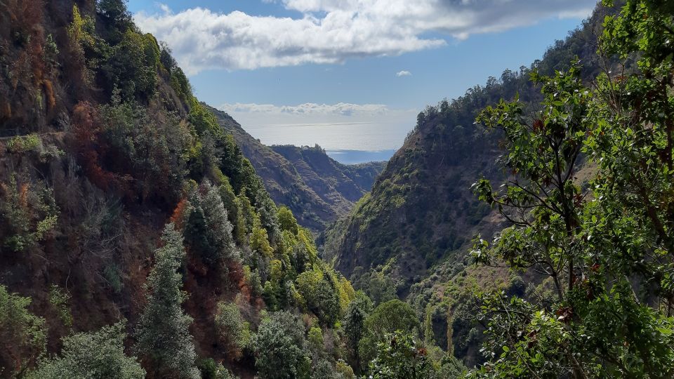 Madeira: Private Moinhos Levada Nova Walk Ponta Do Sol - Additional Information and Optional Pickup