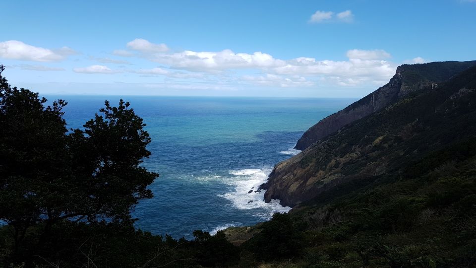 Madeira: Private Vereda Do Larano Hike - Pickup and Drop-off Points