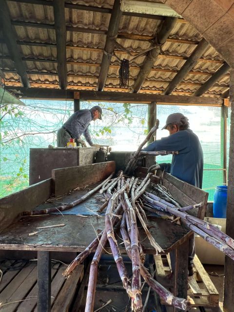 Madeira Sugar Cane Rum Tasting Experience - Common questions