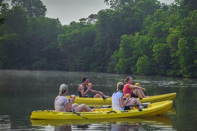 Madu River Sunrise Mangrove Kayaking From Bentota - Directions and Getting There