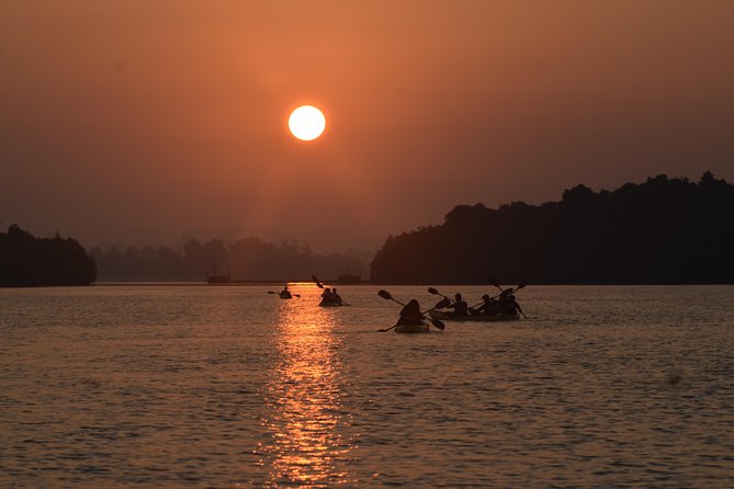 Madu River Sunrise Mangrove Kayaking From Colombo - Tour Tips and Recommendations