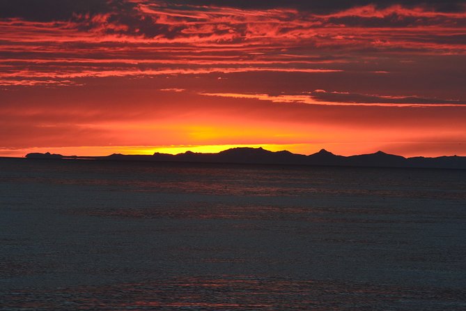 Magical Whales in the Midnight Sun From Reykjavik - Embrace the Night Cruise Adventure