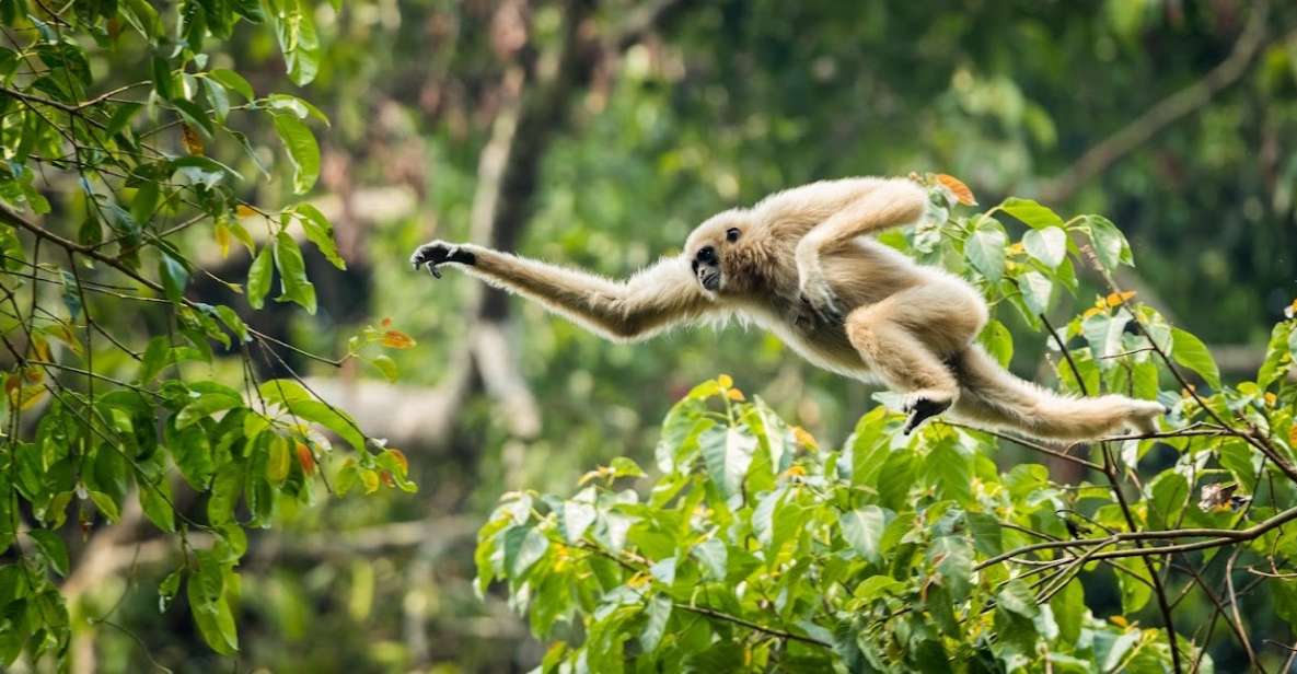 Malaysia: Gunung Panti Forest Reserve Guided Nature Tour - Additional Information