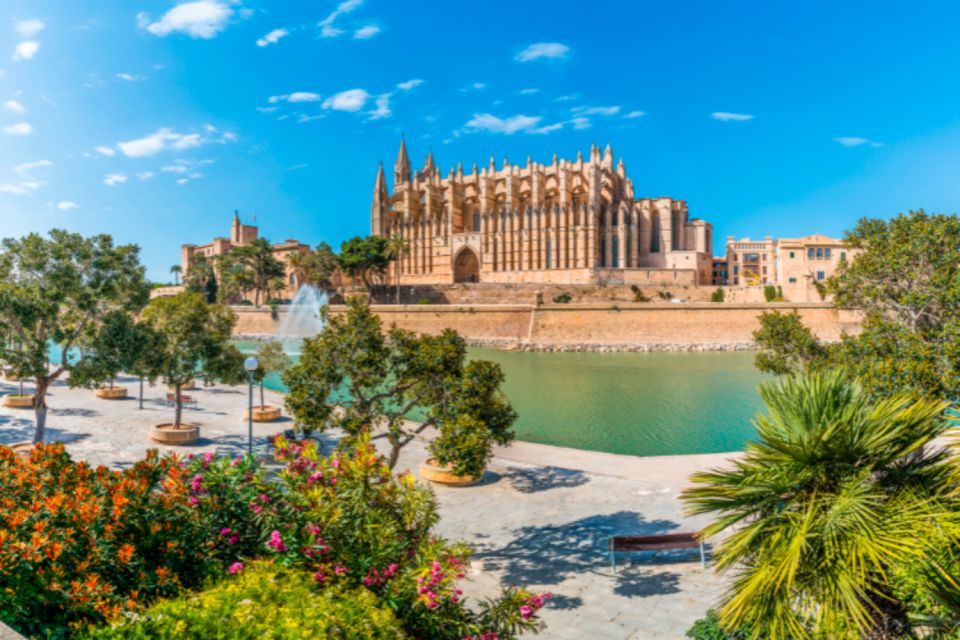 Mallorca: Instafamous Tour of Palma and West Coast - Customer Reviews