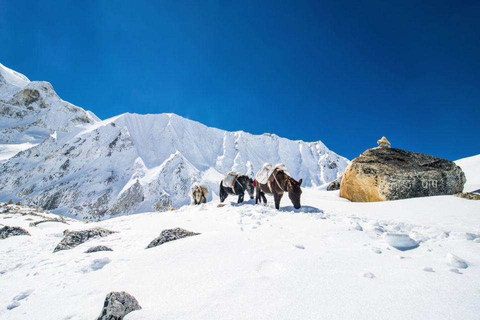 Manaslu Circuit Trek Conquer the Majestic - Accommodation and Meals Included