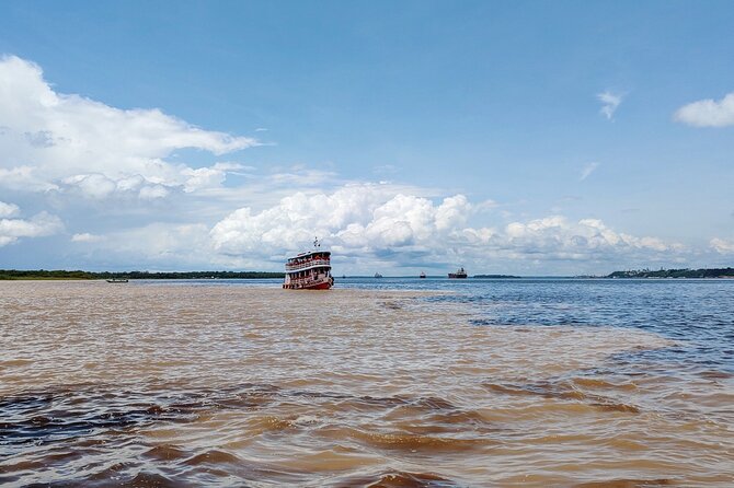 Manaus to Meeting of the Waters and Janauari Lake Cruise Tour - Product Details