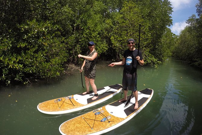 Mangroves SUP Tour Phuket - Minimum Traveler Requirement