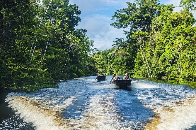 Manu Jungle Tour From Cusco (4 Days) - Wildlife Encounters