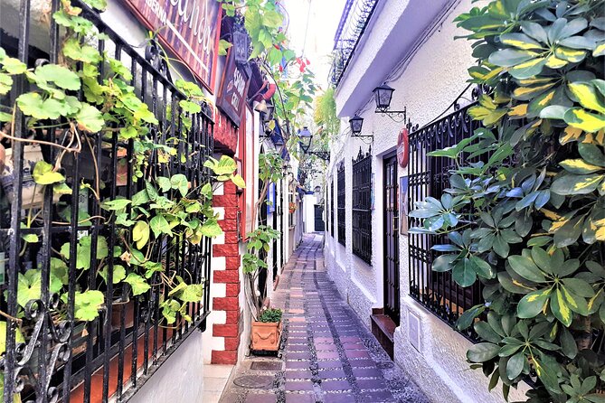 Marbella: Private Walking Tour - Traveler Insights