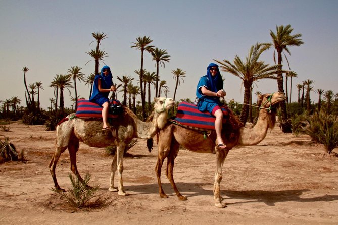 Marrakech Activities: Camel Ride Tour Marrakech - Customer Support and Pricing