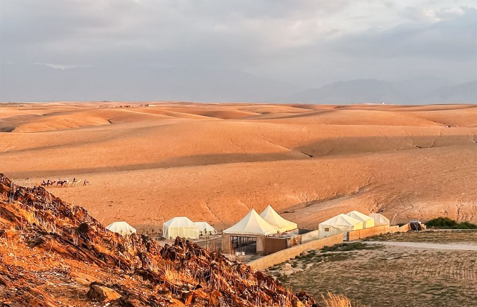 Marrakech: Agafay Desert Dinner With Camel Ride or Quad Bike - Customer Satisfaction and Service Quality