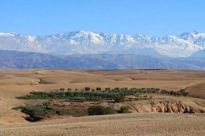 Marrakech : Agafay Desert Evening Trip Under the Stars - Safety Guidelines