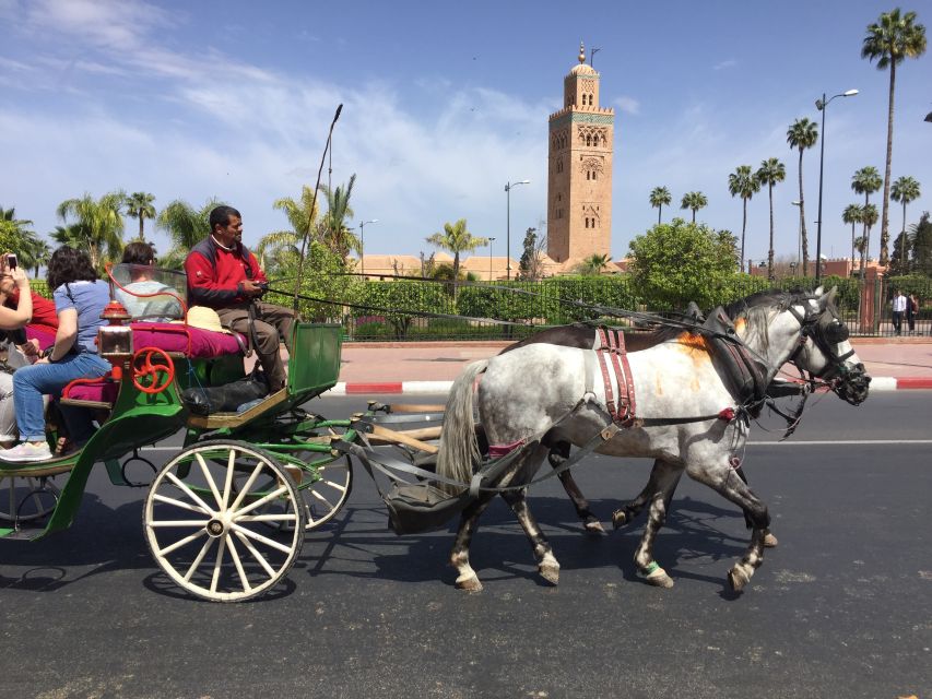 Marrakech: Bahia & Badi Palaces & Saadian Tombs Guided Tour - Last Words