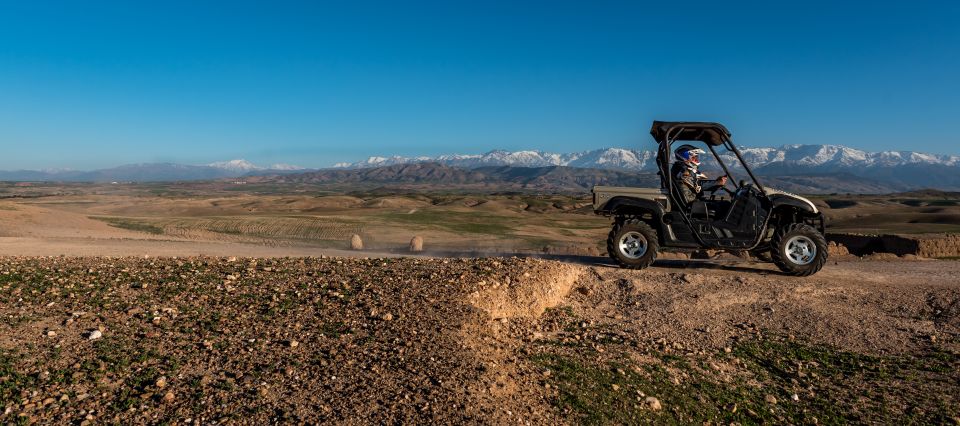 Marrakech: Buggy Drive in the Palm Groves - Common questions