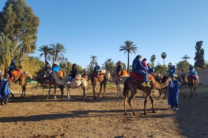 Marrakech Camel Ride at the Palm Groves - Directions