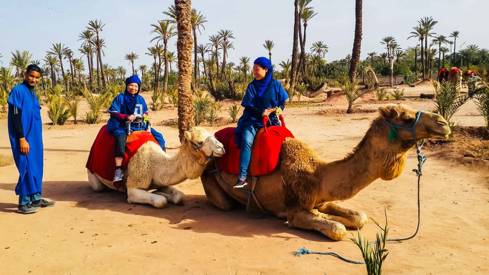 Marrakech: Camel Ride in the Oasis Palmeraie - Live Tour Guides