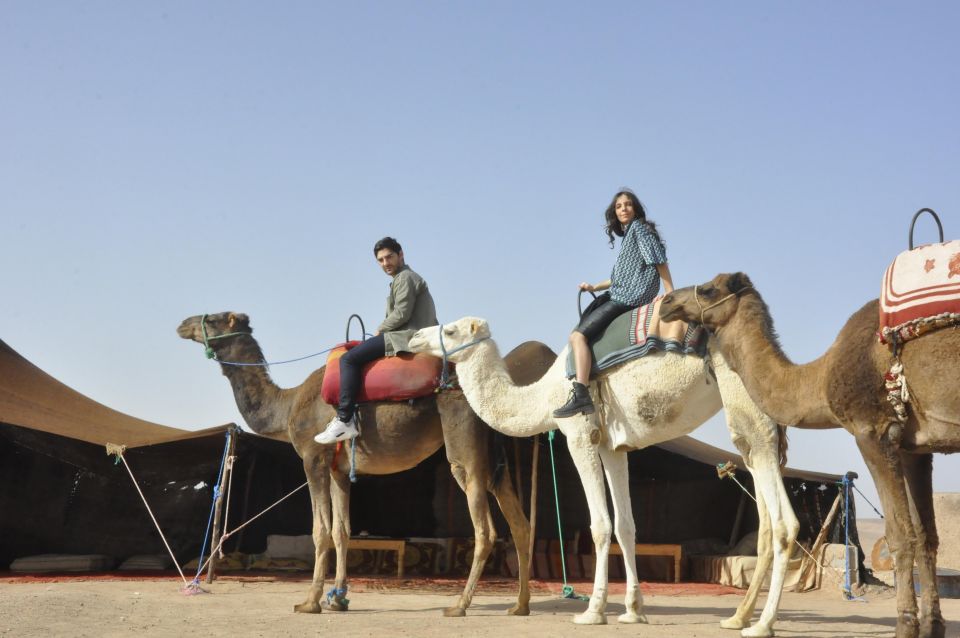 Marrakech : Camel Ride in the Palm Grove With Transport - Directions